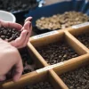 Hobby Barista tanfolyam ajándékutalvány